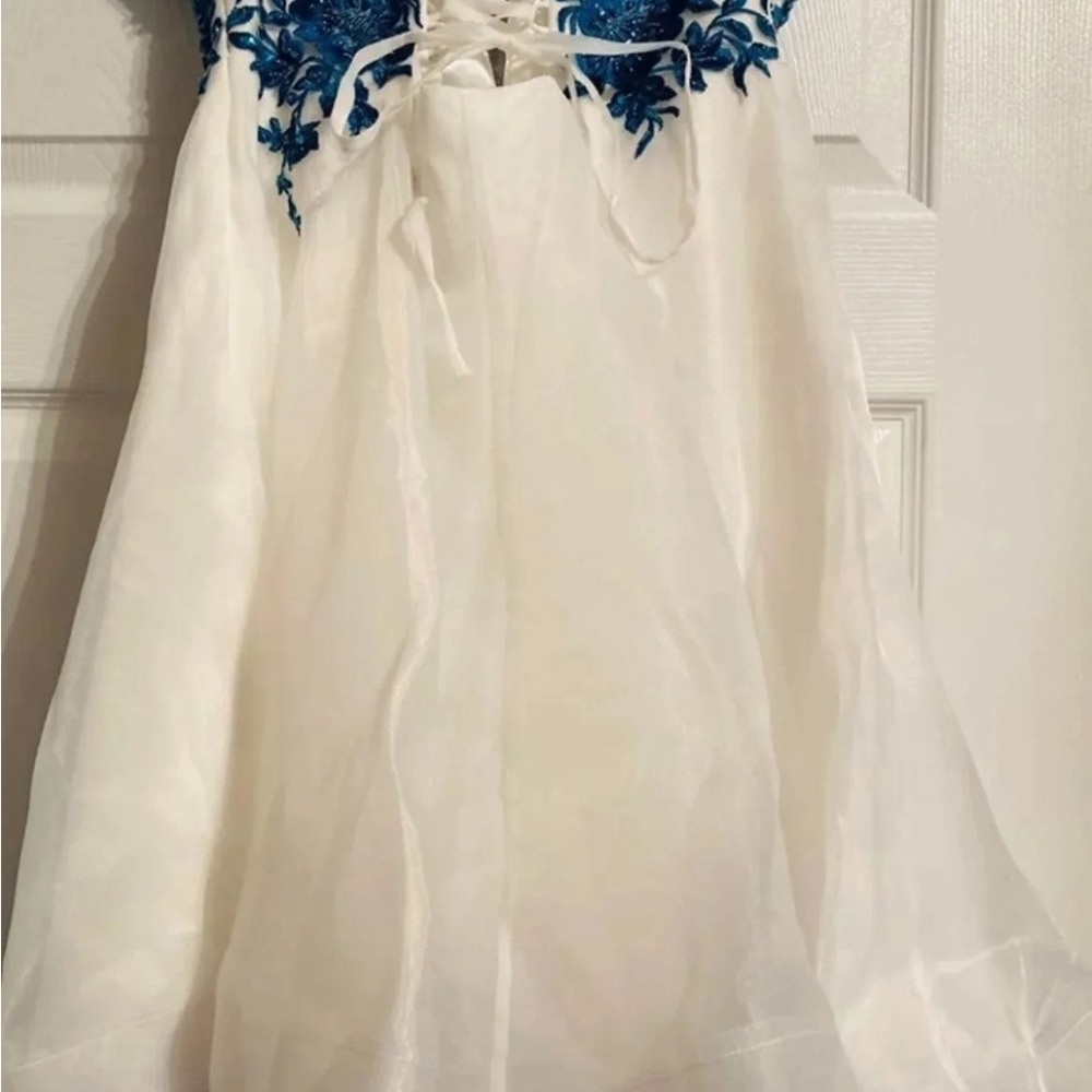 Prom Dress - Picture 6 of 6